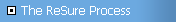 The ReSure Process